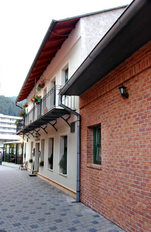 Penzion Zuzi Trenčianske Teplice Exterior foto